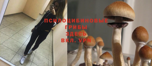 mdpv Алзамай