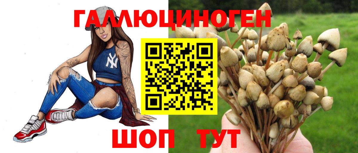 Галлюциногенные грибы GOLDEN TEACHER Кохма